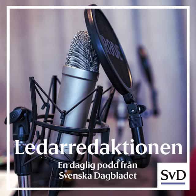 SvD:s ledarredaktion möter advokaten Ruth Nordström i “Juristen och åsiktskorridoren”